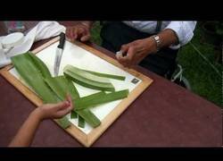 Enlace a Así es el arte de cortar la planta del aloe vera