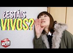 Enlace a Vecinos japoneses