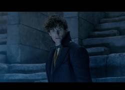 Enlace a Presentan el tráiler final de Animales fantásticos: Los crímenes de Grindelwald