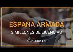 Enlace a Armas de fuego en España