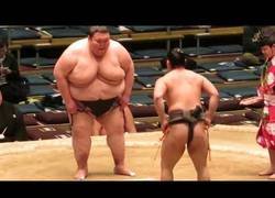 Enlace a El luchador de Sumo más gordo del mundo con 283kg