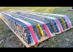 Enlace a La reacción al prenderle fuego a 10.000 petardos