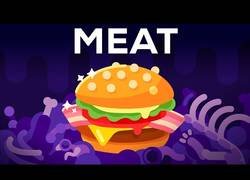 Enlace a El motivo por el que la carne es la mejor de la peor comida del mundo [subtitulado]