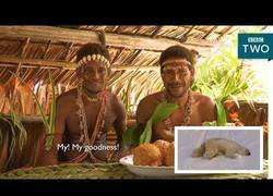 Enlace a Una tribu descubre por primera vez los osos polares y como es la vida en la antártida