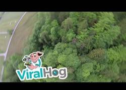 Enlace a Parecía un vuelo tranquilo, se desplegó mal el parapente y el aterrizaje fue fatídico