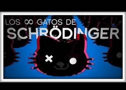 Enlace a Las infinitas formas de crear un gato de Schrödinger