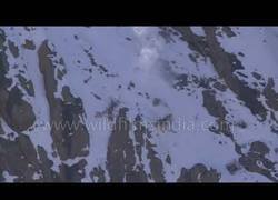 Enlace a La volada espectacular de este leopardo para cazar en plena montaña del Himalaya
