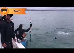 Enlace a Le lanza un cebo a un gran tiburón blanco y forcejean para ver quien se queda con la comida