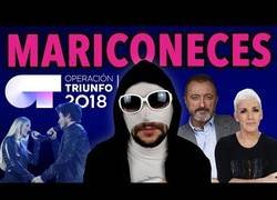 Enlace a Mariconeces, Operación Triunfo y las palabras prohibidas
