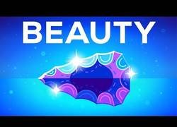 Enlace a ¿Por qué las cosas hermosas nos hacen felices? [Inglés]