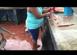 Enlace a En esta pescadería nadie se queda con hambre