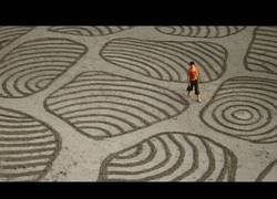 Enlace a Arte efímero