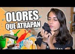 Enlace a Ahora sabrás porqué adoras algunos olores