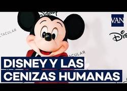 Enlace a ¡Qué asco, por Dios!