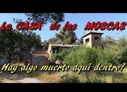 Enlace a la casa de las moscas