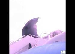 Enlace a Presidente Donald Trump deja su paraguas abierto en puerta de entrada del Air Force.