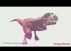 Enlace a El viral del momento