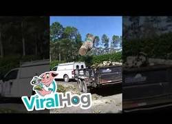 Enlace a Talar y cargar al mismo tiempo