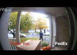 Enlace a Así tratan los repartidores los paquetes frágiles