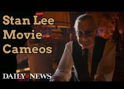 Enlace a Estos han sido los cameos de Stan Lee
