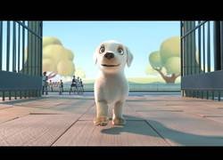 Enlace a Corto de animación: Pip