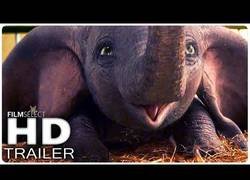 Enlace a DUMBO Trailer 2 Español (2019)
