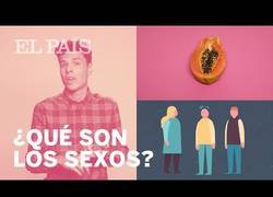 Enlace a ¿Cómo definir realmente un sexo? Diferencias entre sexo y género 