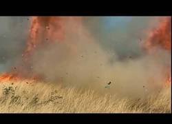 Enlace a La fiesta de revelación de género de un bebe acaba en un incendio en Arizona