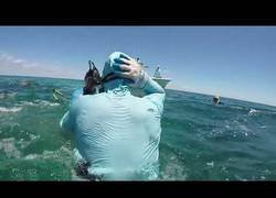 Enlace a Tiburón ataca a un buzo - Fotos incluidas