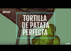 Enlace a Tortilla de patata perfecta