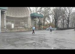 Enlace a Haciendo virguerías con el frisbee en Central Park