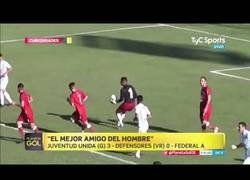 Enlace a Perro héroe salva gol del equipo contrario