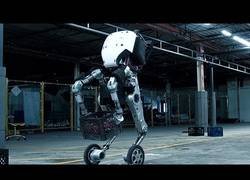 Enlace a Robots tan desarrollados que dan miedo 