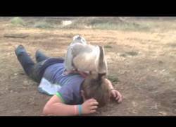 Enlace a Oca ataca a un niño