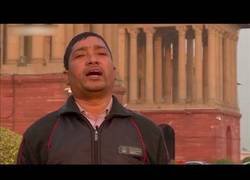 Enlace a La capital de la India capturó los macacos. Miles de macacos en el centro de Nueva Delhi.