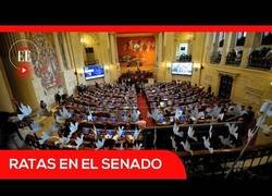 Enlace a Sueltan una bolsa llena de ratas en el senado