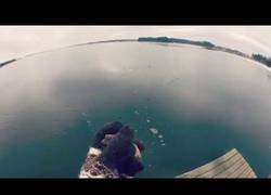 Enlace a Sonido creado por el lanzamiento de unas piedras al mar helado