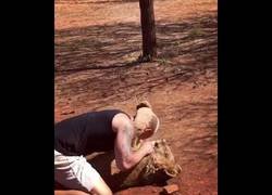 Enlace a Estrecha relación de amistad entre este hombre y un león