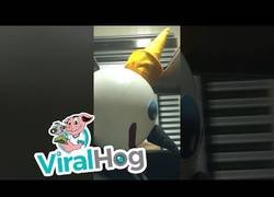 Enlace a Sorpresa en el autoservicio