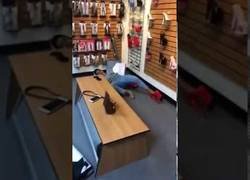 Enlace a Caída brutal al probarse unos tacones