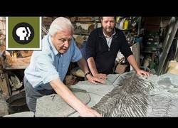 Enlace a Descubriendo un nuevo Ichthyosaurio