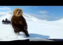 Enlace a Estas personas casi no llegan a 2019