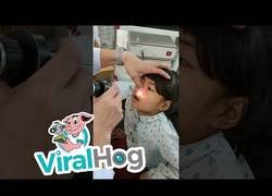 Enlace a Cuando te pica la nariz no esperas que te salga eso