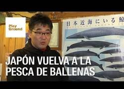 Enlace a Japón vuelva a la pesca de ballenas