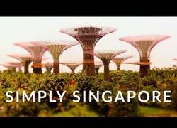 Enlace a Simplemente Singapore