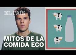 Enlace a Comida eco ¿timo?
