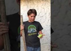 Enlace a Enterrando a Chimuelo