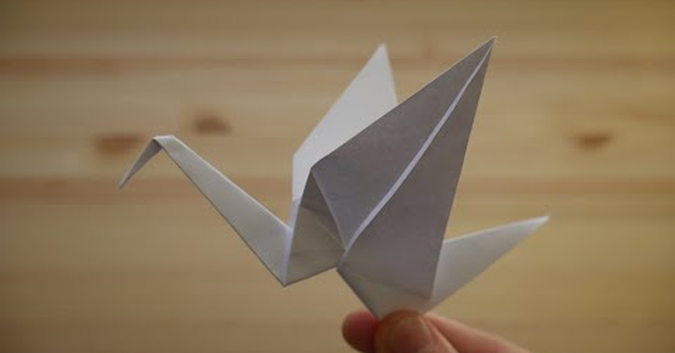 ¡No tengo tele! / Origami. Cómo hacer una grulla de papel