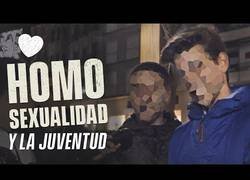 Enlace a La opinión sobre homosexualidad de la juventud