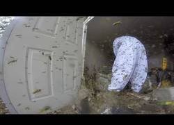 Enlace a Eliminando este gran panal de abejas de una casa